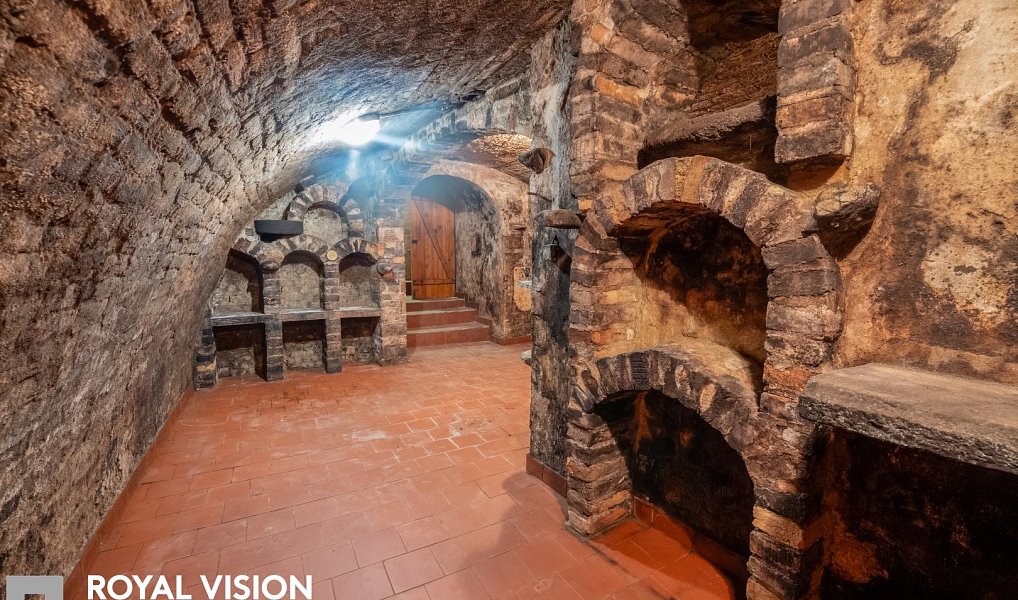 Habánský sklep v Březí historie, vinařská tradice a jedinečný potenciál, Březí – náhled fotky 27