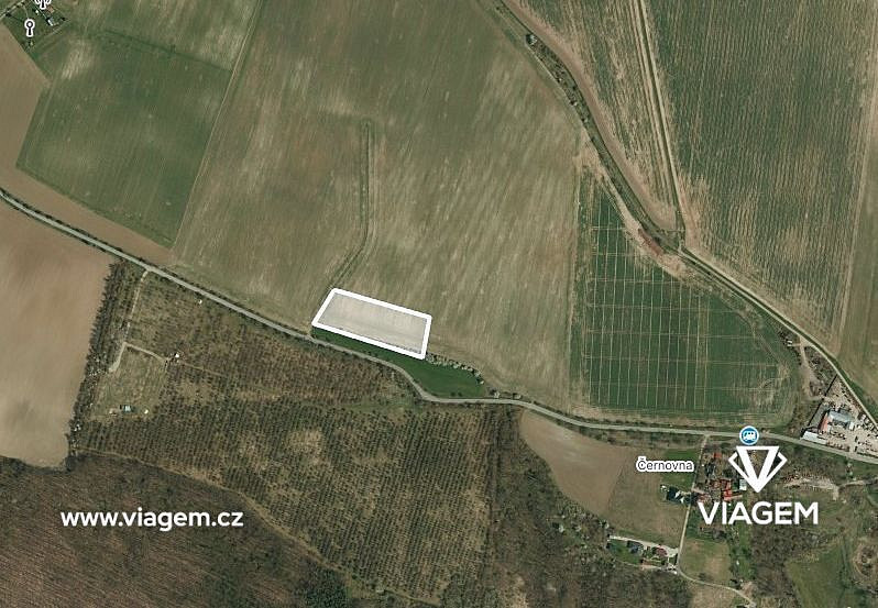 Prodej pole 6 082 m²