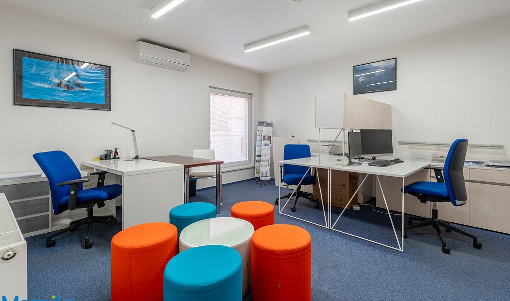 Prodej domu 340 m² s pozemkem 190 m², Brno – náhled fotky 10