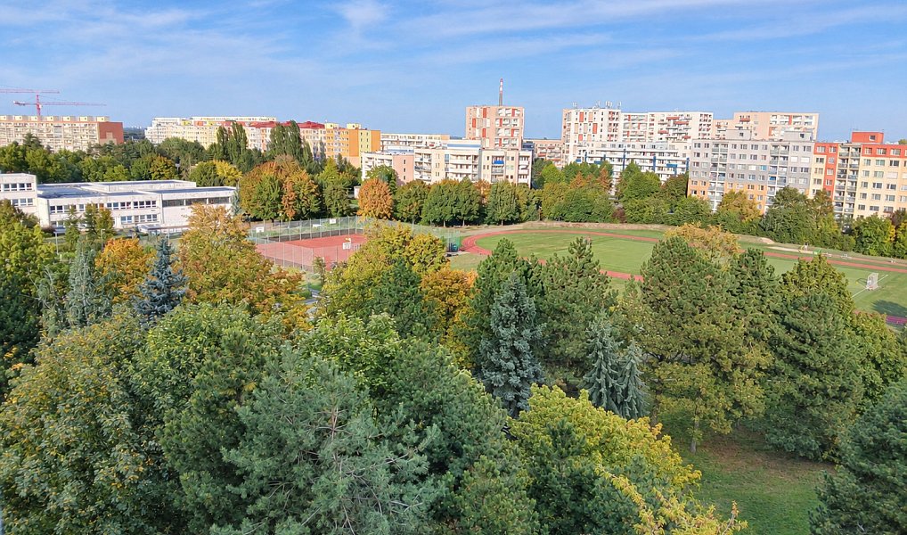 Prodej bytu 3+kk 68 m², Praha – náhled fotky 17