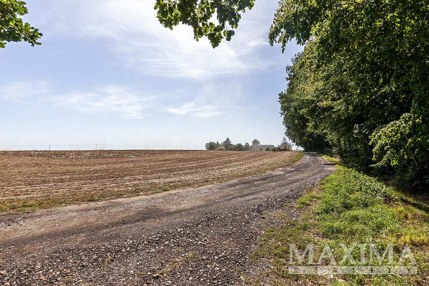 Prodej pole 3 636 m² – fotografie 5