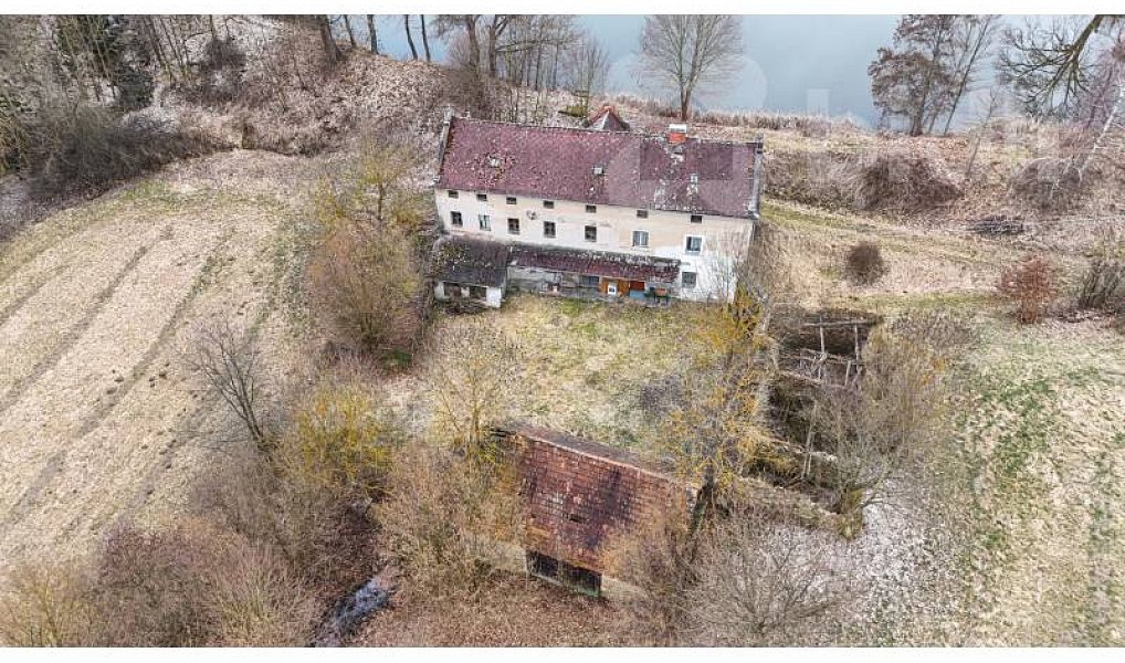 Prodej domu 950 m² s pozemkem 24 944 m², Jankov – náhled fotky 11