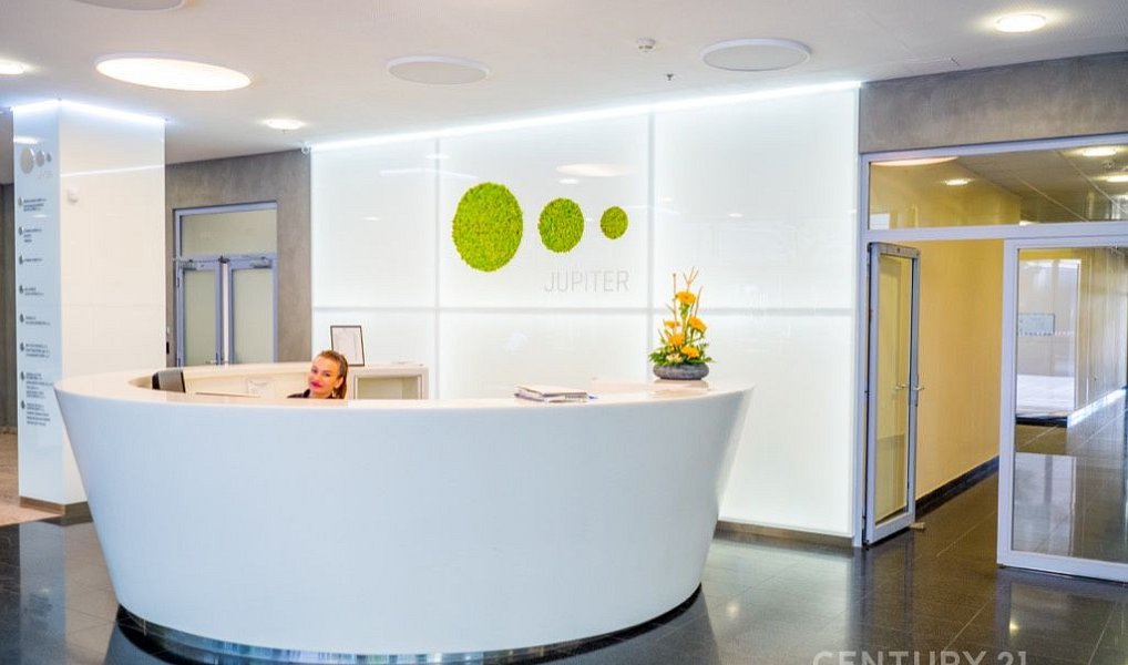 Pronájem kanceláře 4 609 m², Praha – náhled fotky 3