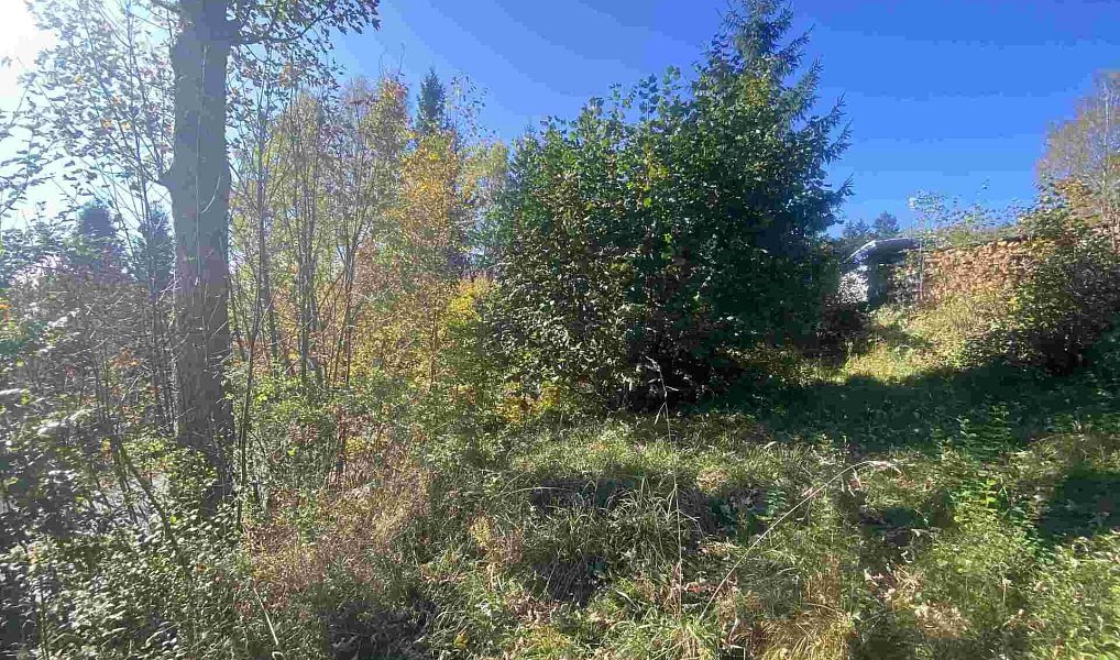 Prodej pozemku 179 m², Lučany nad Nisou – náhled fotky 2
