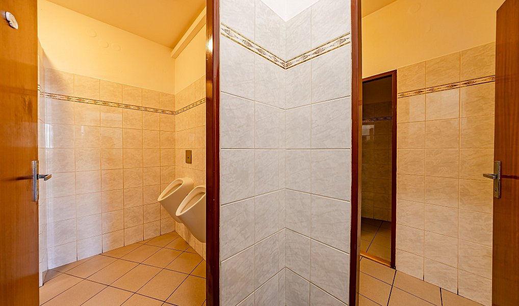 Prodej obchodních prostor 440 m², Bojkovice – náhled fotky 25