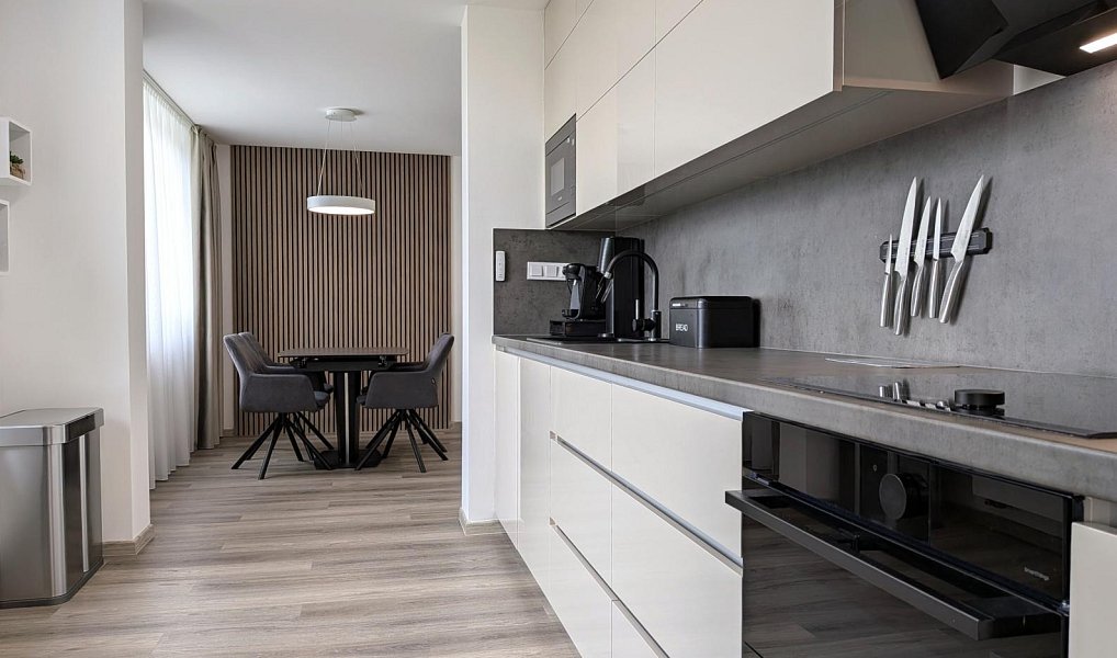Pronájem bytu 3+kk 68 m², Prostějov – náhled fotky 4