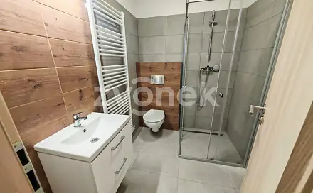 Pronájem bytu 1+1 32 m², Moravní, Otrokovice, okres Zlín