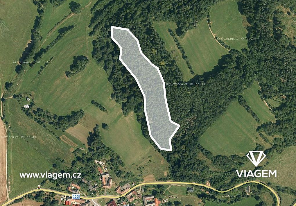 Prodej lesa 1 741 m² – fotografie 2