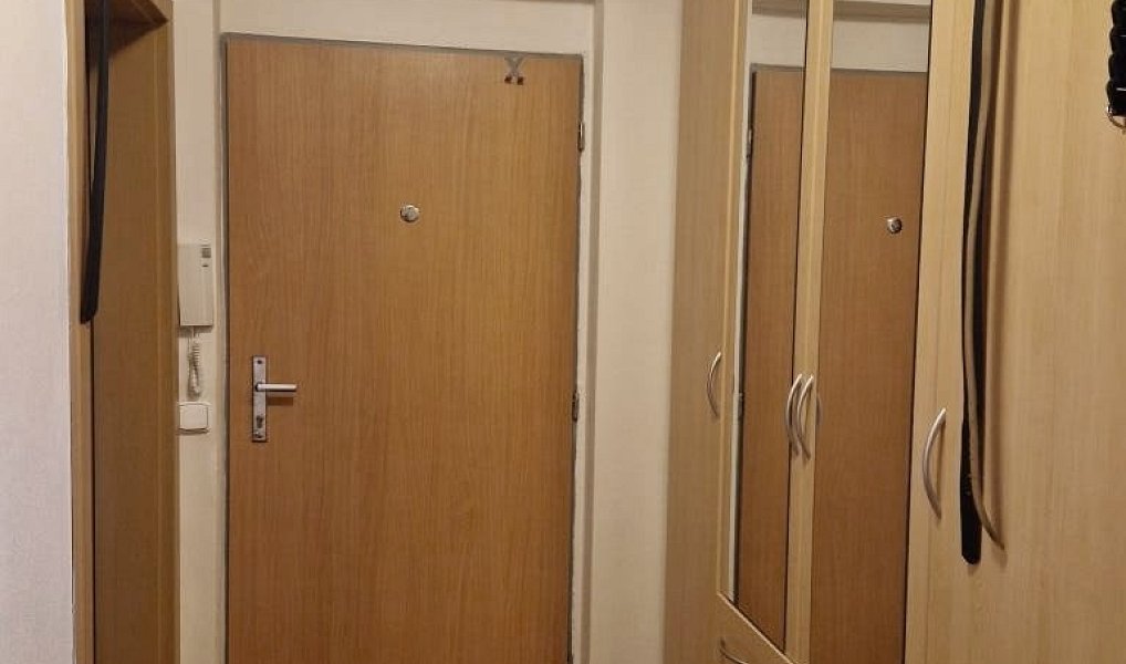 Prodej bytu 1+kk 41 m², Brno – náhled fotky 10