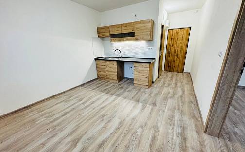 Pronájem bytu 1+1 37 m², Kyjická, Chomutov