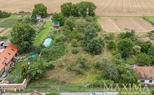 Prodej pozemku 3 823 m², Dolní Beřkovice - Podvlčí, okres Mělník