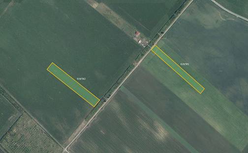Prodej pole 12 186 m², Velké Bílovice, okres Břeclav