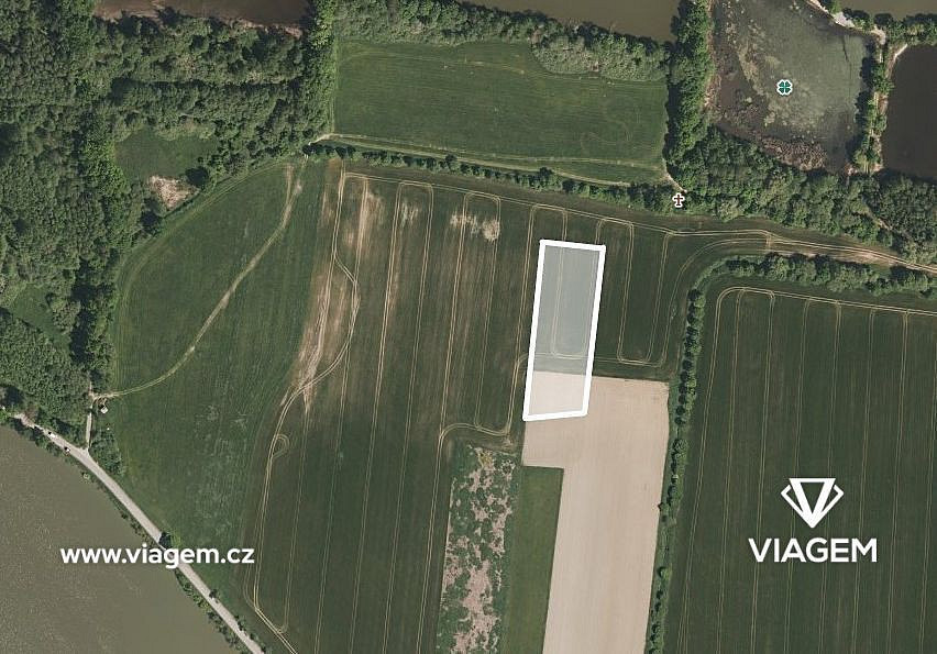 Prodej pole 934 m²