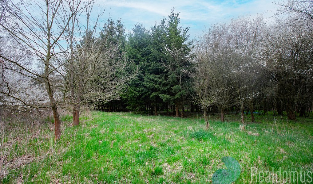Prodej zemědělského objektu 502 m², Bečice – náhled fotky 22
