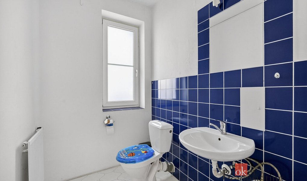 Prodej domu 258 m² s pozemkem 1 347 m², Praha – náhled fotky 32