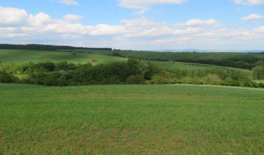 Dražba, Pozemek, 2623 m²