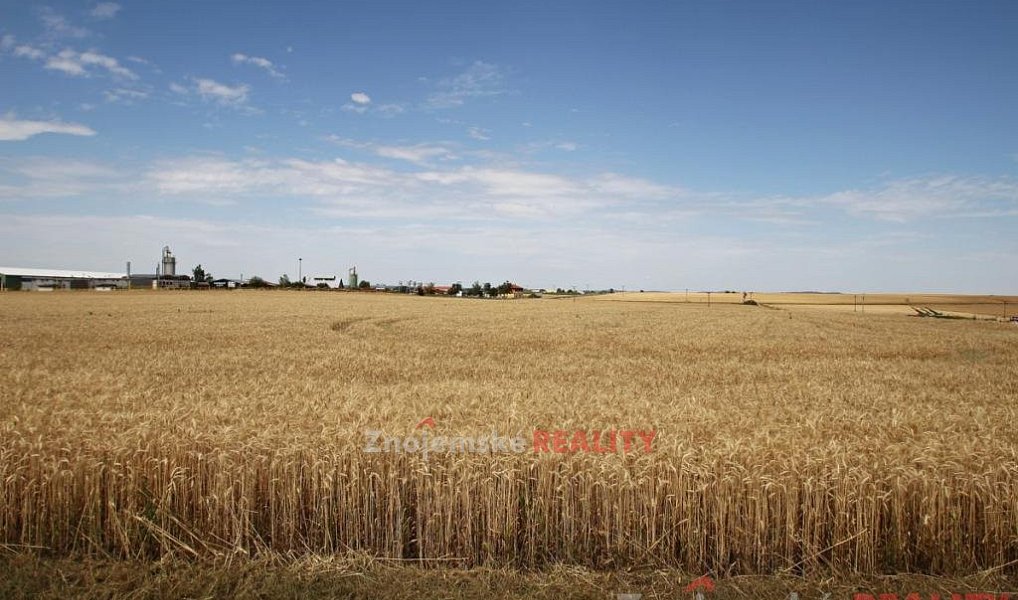 Prodej pole 24 000 m², Blanné – náhled fotky 2