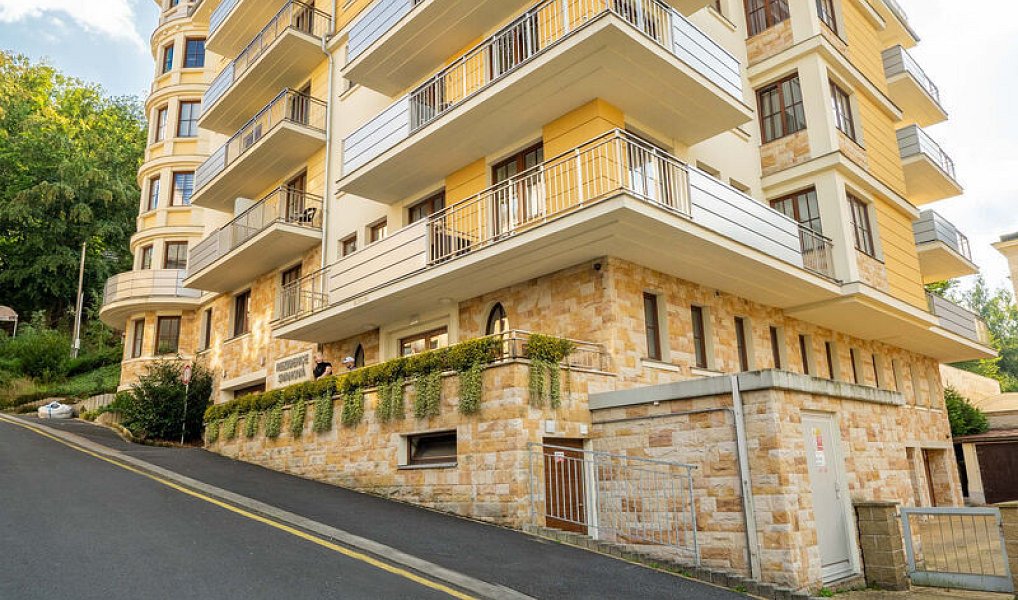 Prodej bytu 6+kk 537 m², Karlovy Vary – náhled fotky 40