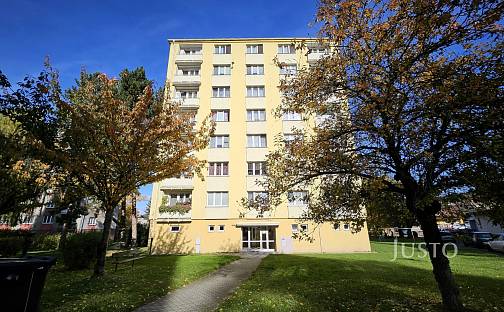 Prodej bytu 2+1 51 m², Dr. M. Horákové, Písek - Budějovické Předměstí