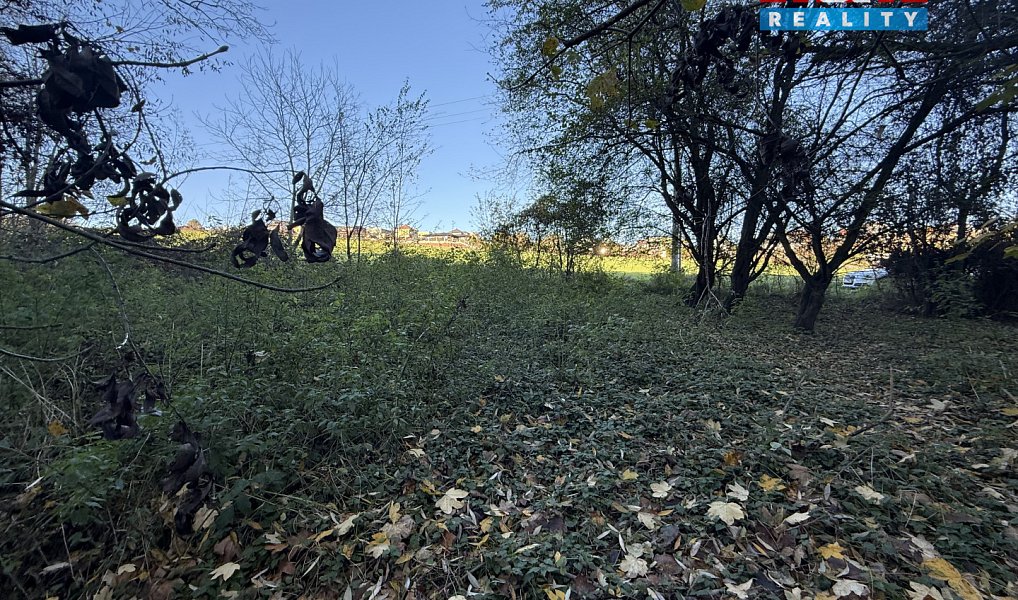 Prodej lesa 1 901 m², Velká Polom – náhled fotky 7