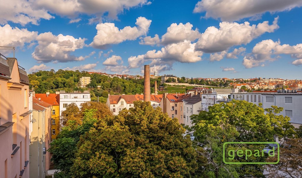 Prodej bytu 2+1 97 m², Praha – náhled fotky 29