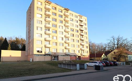 Prodej bytu 1+1 41 m², Tyršova, Zliv, okres České Budějovice