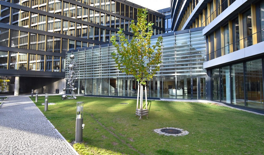 Pronájem kanceláře 1 511 m², Praha – náhled fotky 10