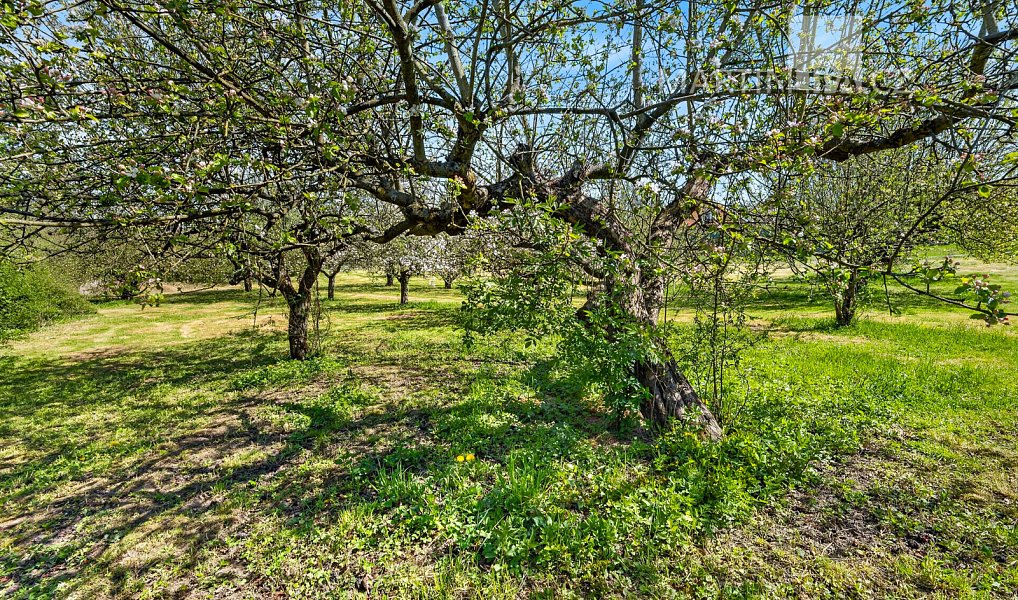 Prodej stavebního pozemku 880 m², Kamenný Přívoz – náhled fotky 13