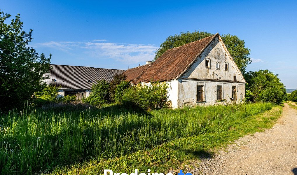 Prodej stavebního pozemku 16 909 m², Písečné – náhled fotky 4