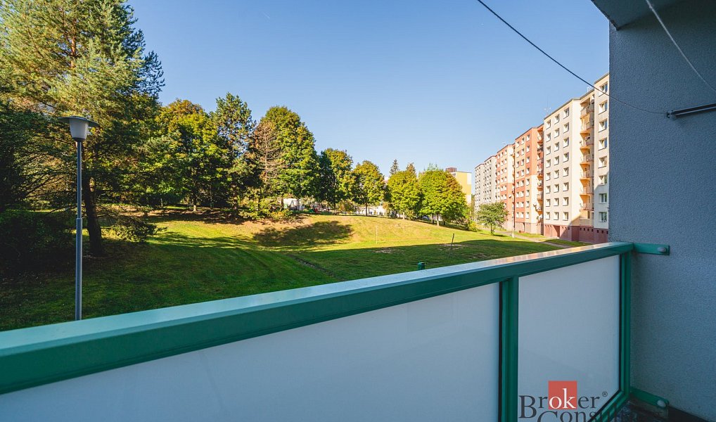 Pronájem bytu 3+1 68 m², Plzeň – náhled fotky 3
