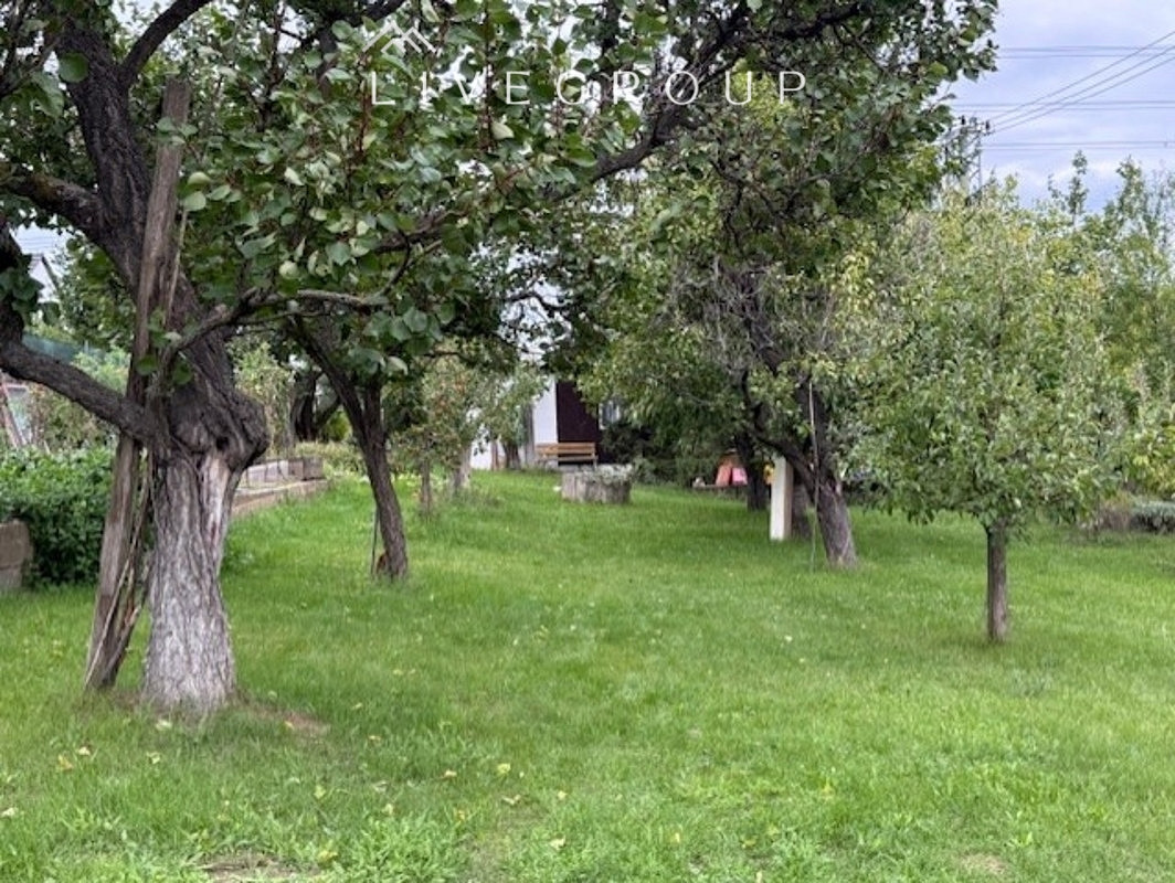 Fotka 10 z 15