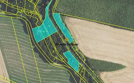 Prodej lesa 6 622 m², Panoší Újezd, okres Rakovník