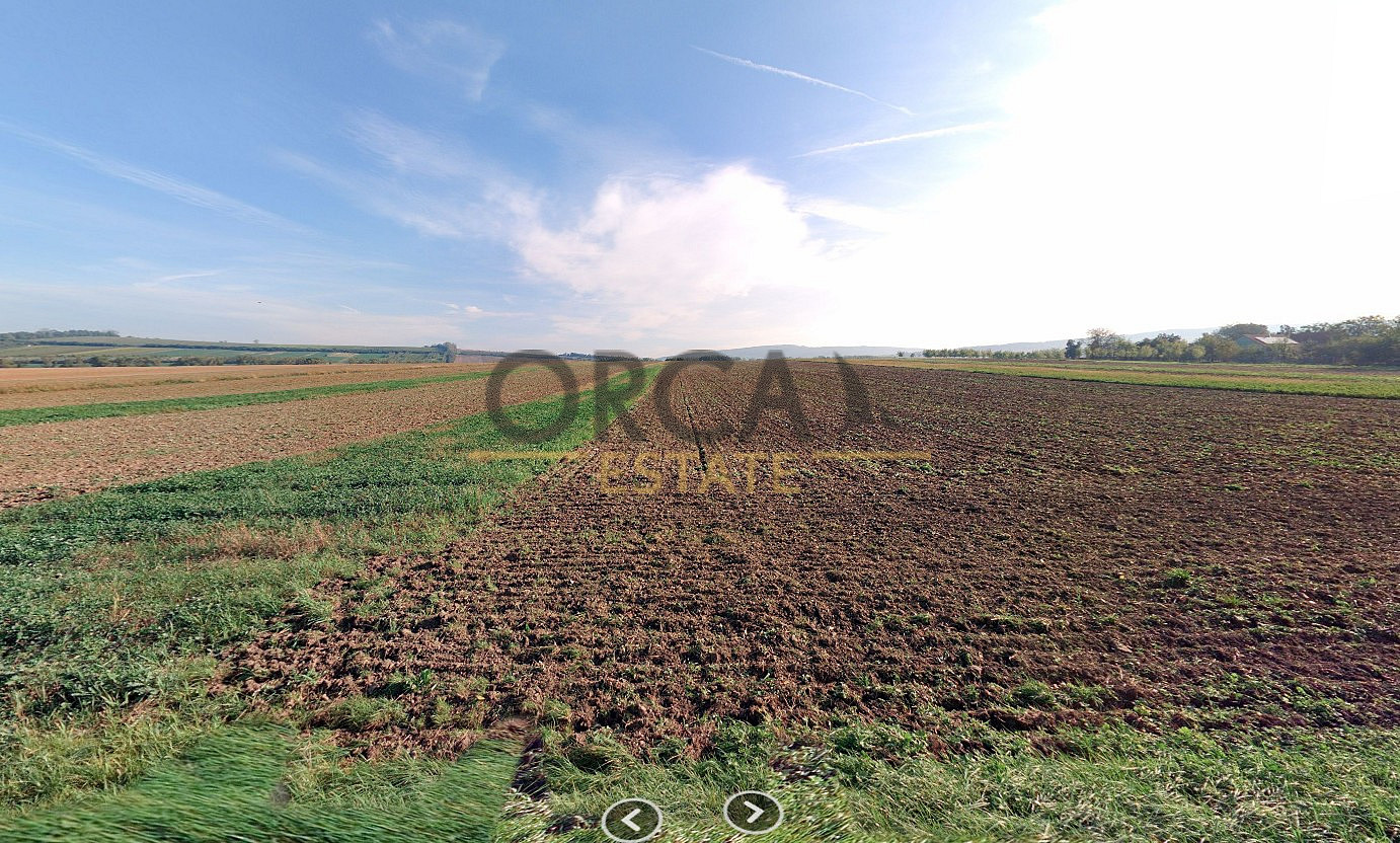 0,2 ha pozemku v k. ú. Hrubá Vrbka – pohled 4