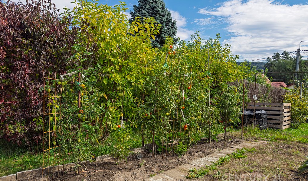 Prodej chaty/chalupy 17 m² s pozemkem 350 m², Nový Jičín – náhled fotky 14