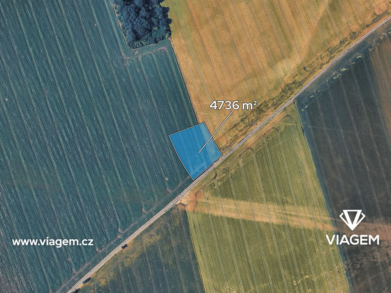 Prodej pole 2 368 m² — photo 2