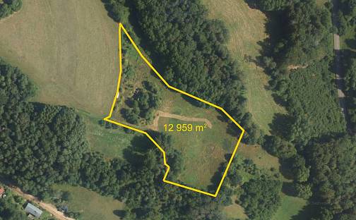 Prodej louky 12 959 m², Všelibice - Březová, okres Liberec