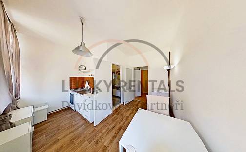 Pronájem bytu 1+1 38 m², Sokolovská, Praha 8 - Karlín
