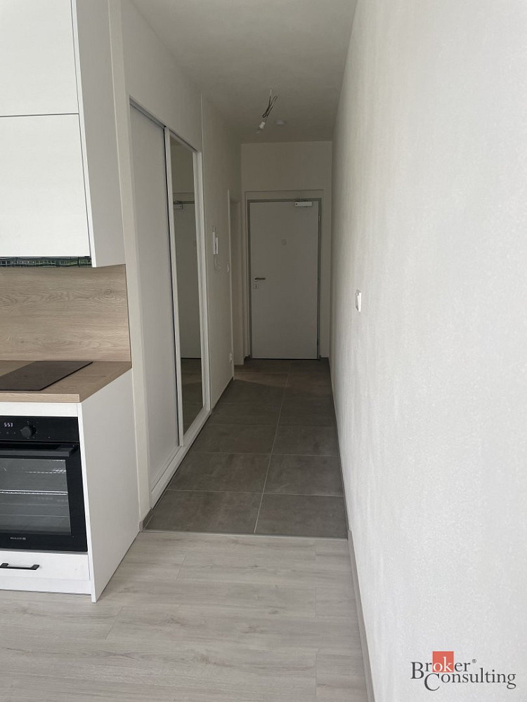 Pronájem bytu 1+kk 35 m² – fotografie 2