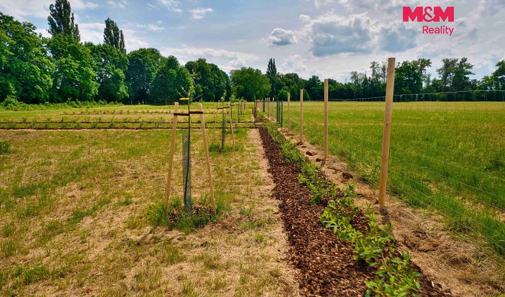 Prodej zahrady 500 m², Hradec Králové – náhled fotky 3
