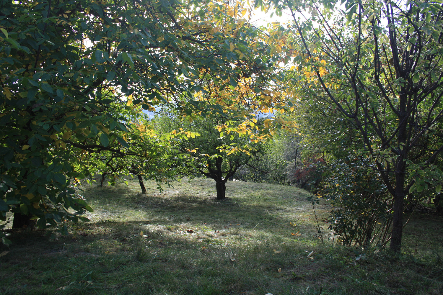 Prodej stavebního pozemku 1 152 m²