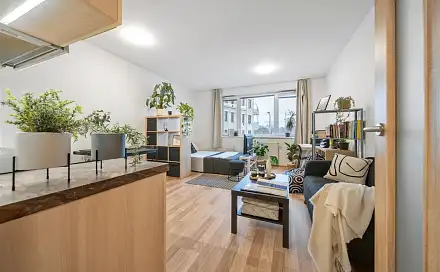 Prodej bytu 1+kk 32 m², Vranovská, Brno - Zábrdovice
