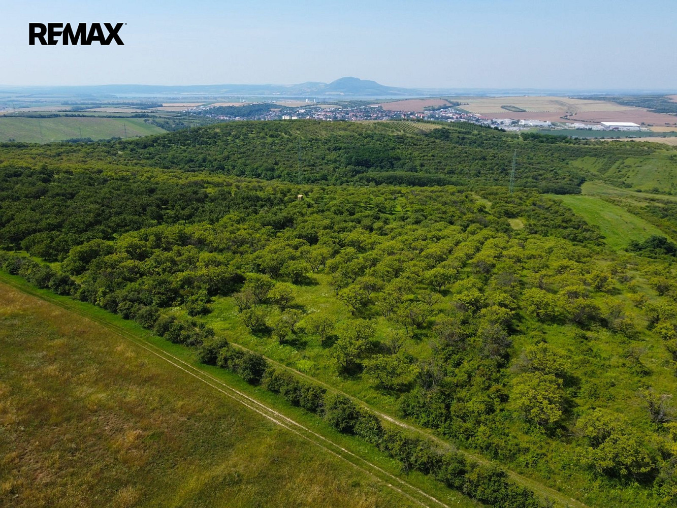 Prodej pozemku 3 780 m²