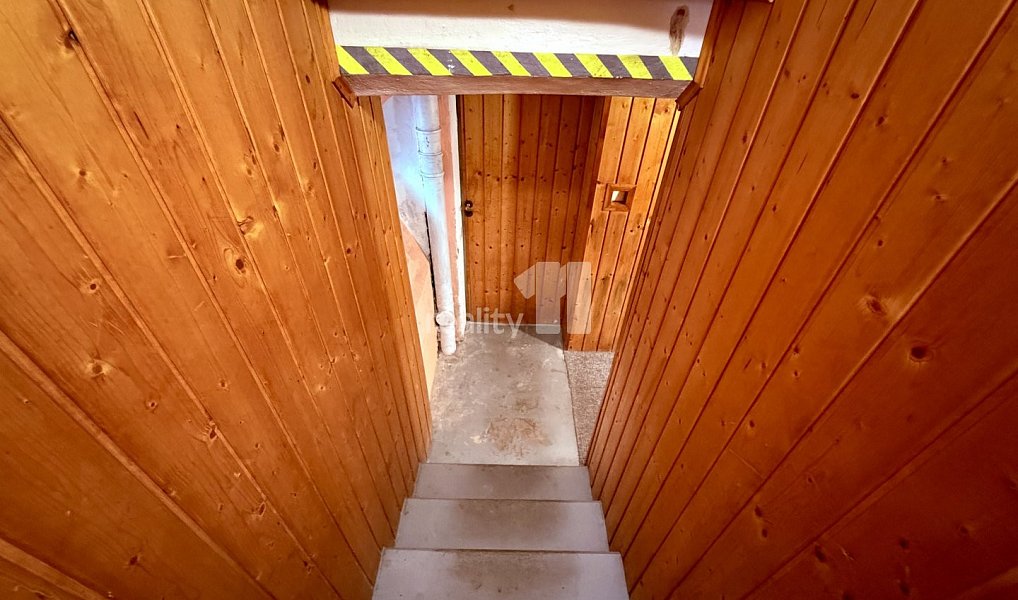 Prodej domu 240 m² s pozemkem 3 645 m², Aš – náhled fotky 48