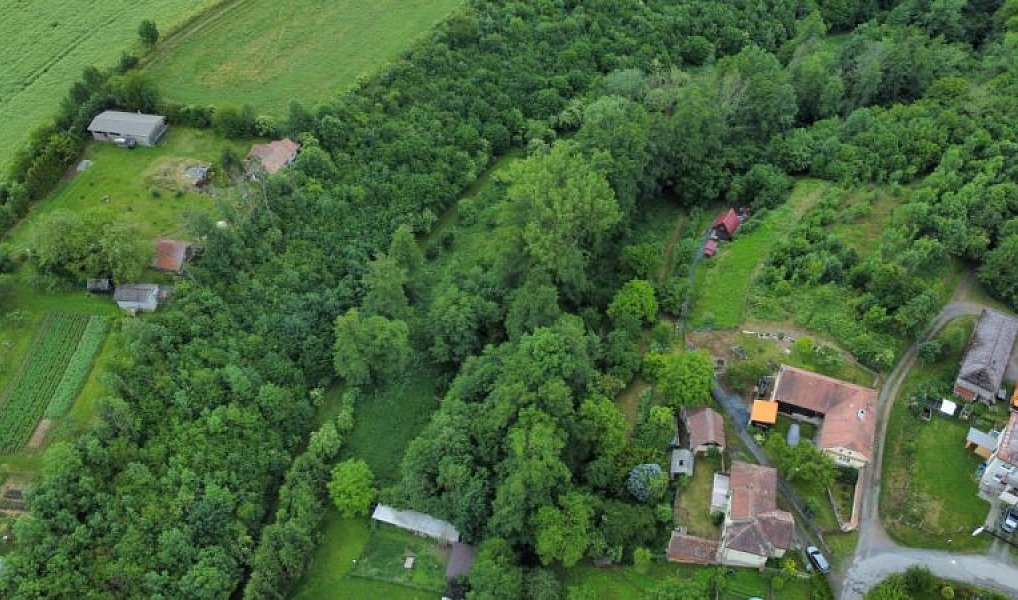 Prodej domu 150 m² s pozemkem 3 022 m², Hroubovice – náhled fotky 7