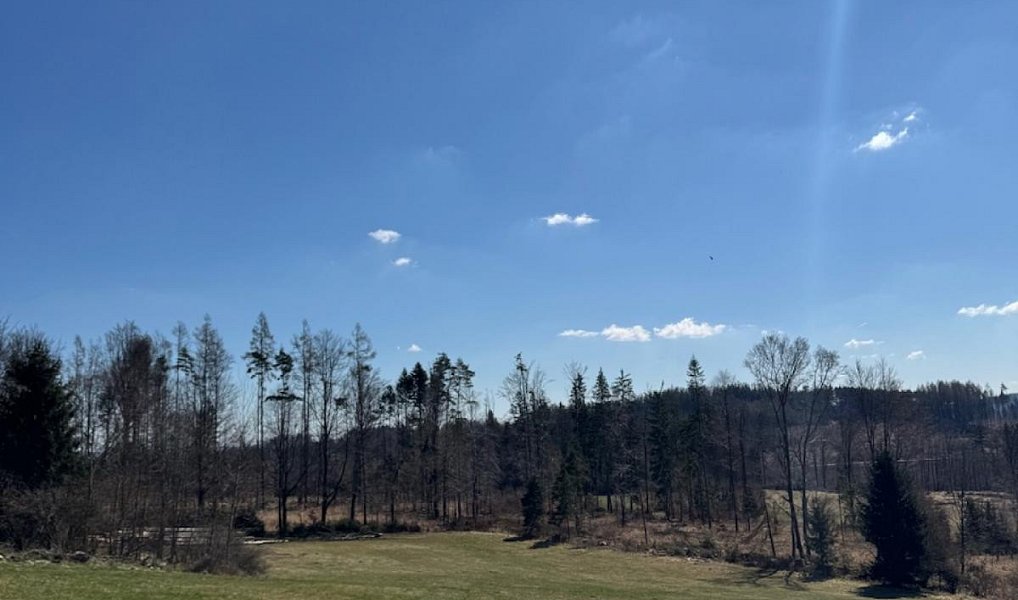 Prodej pozemku 18 432 m², Studená – náhled fotky 3