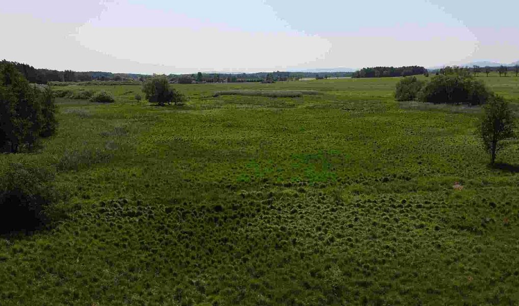 Prodej pozemku 20 535 m², Jílovice – náhled fotky 4