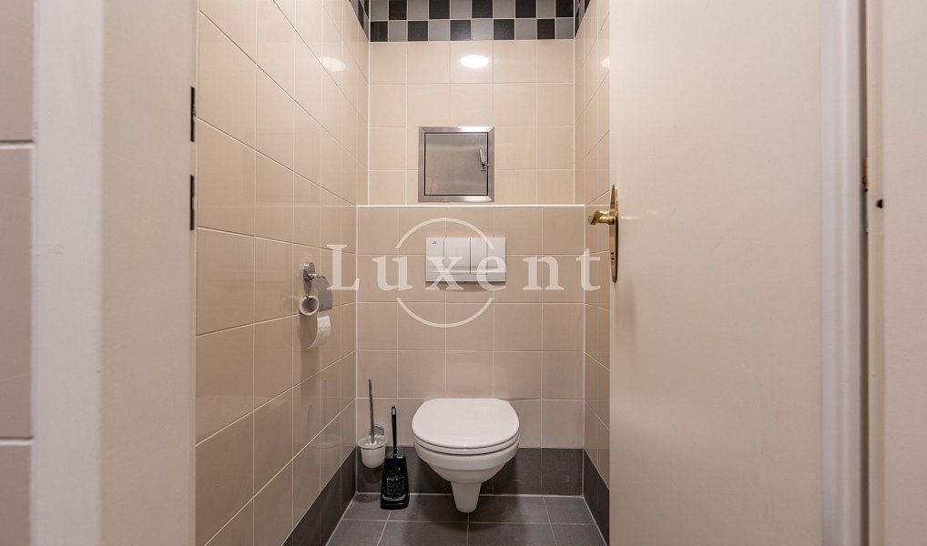 Pronájem bytu 4+kk 156 m², Praha – náhled fotky 11
