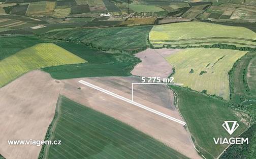 Prodej pole 1 318 m², Velká nad Veličkou, okres Hodonín