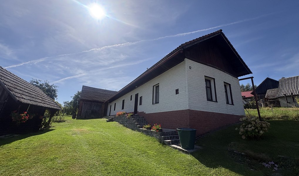 Prodej domu 100 m² s pozemkem 1 200 m², Podhradí – náhled fotky 3