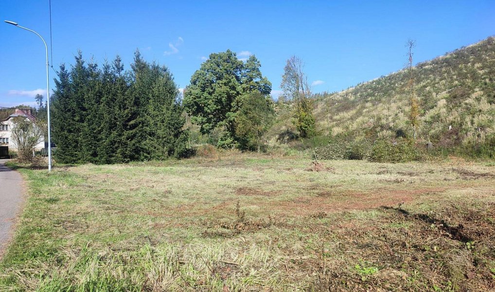 Prodej zahrady 2 666 m², Staré Buky – náhled fotky 2